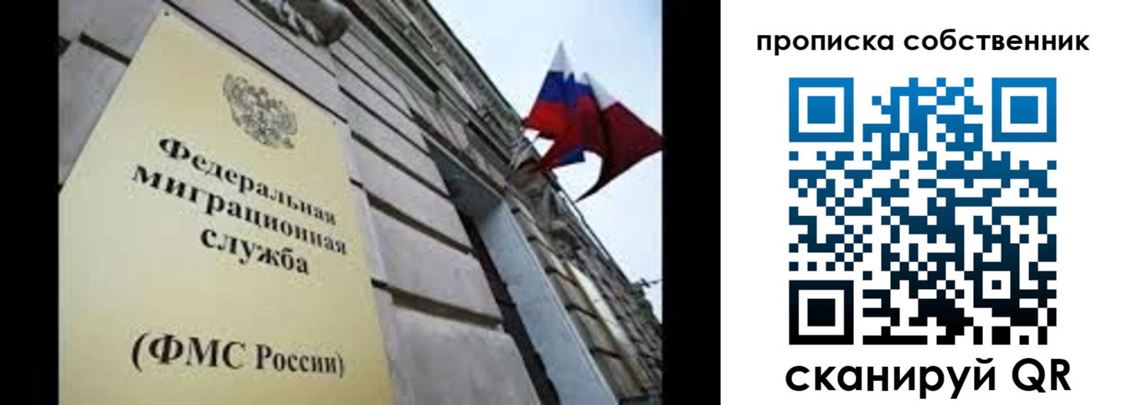 прописка гарантия в Мамадыше